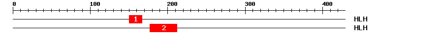 Signature Domain
