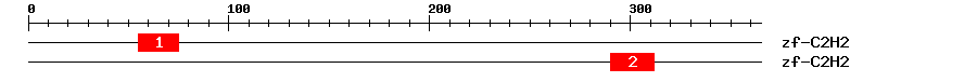 Signature Domain