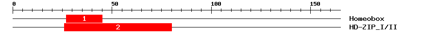 Signature Domain