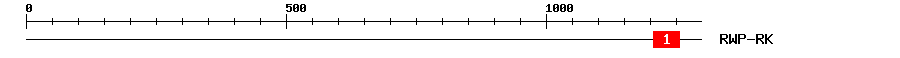 Signature Domain