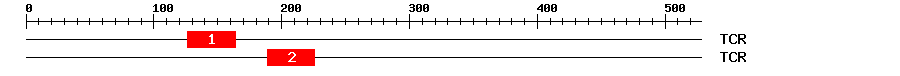 Signature Domain