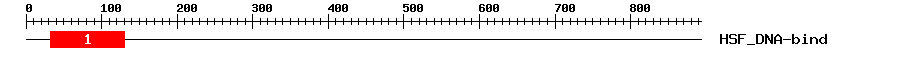 Signature Domain