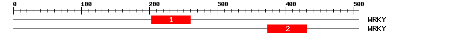 Signature Domain
