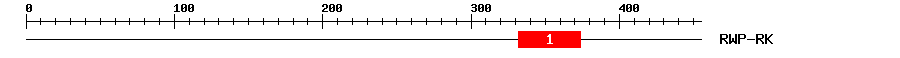 Signature Domain