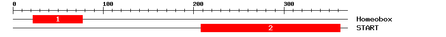 Signature Domain