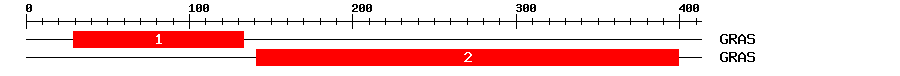 Signature Domain