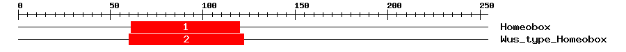 Signature Domain