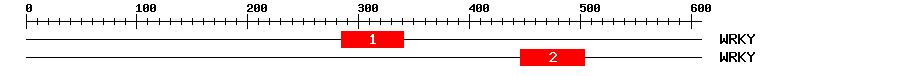 Signature Domain