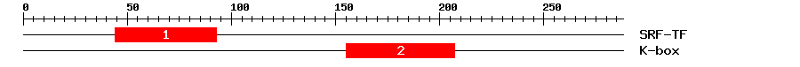 Signature Domain