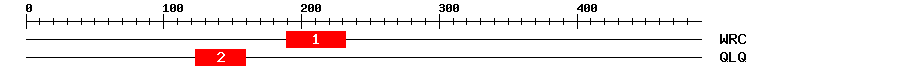 Signature Domain