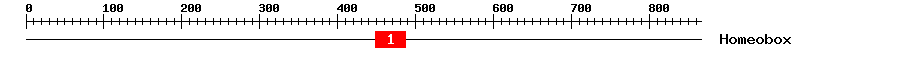 Signature Domain