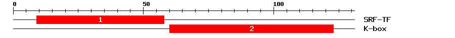 Signature Domain