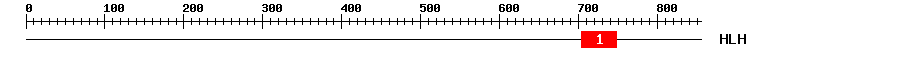 Signature Domain