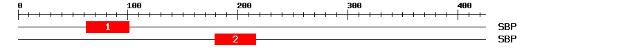 Signature Domain