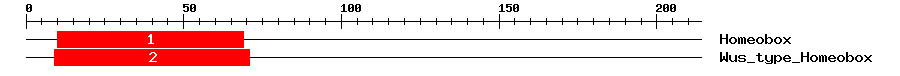 Signature Domain