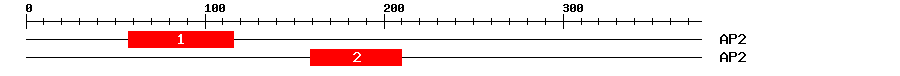Signature Domain