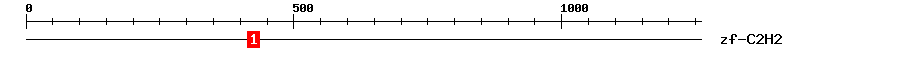 Signature Domain