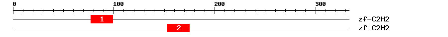 Signature Domain