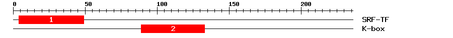 Signature Domain