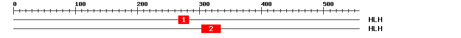 Signature Domain