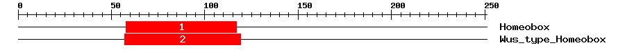 Signature Domain