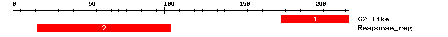 Signature Domain