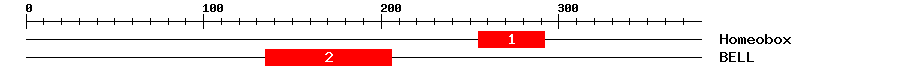 Signature Domain