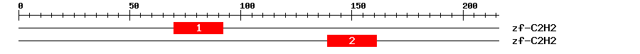 Signature Domain
