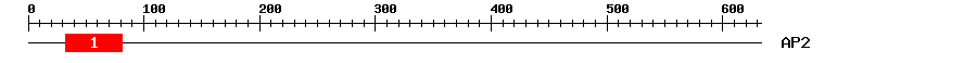 Signature Domain