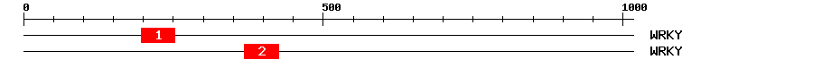Signature Domain