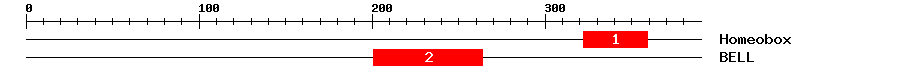 Signature Domain