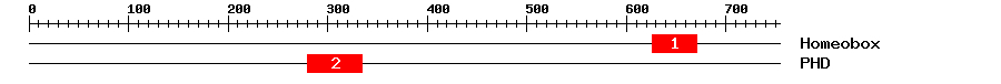 Signature Domain