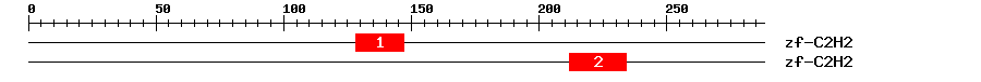 Signature Domain