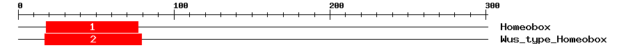 Signature Domain