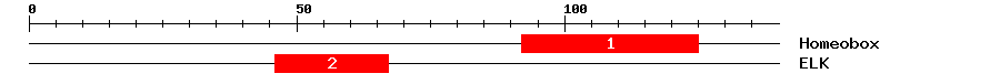 Signature Domain