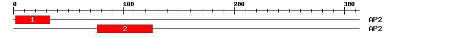 Signature Domain