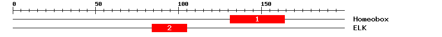 Signature Domain