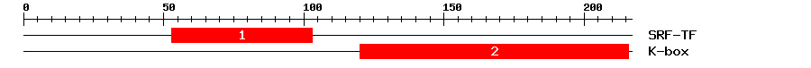 Signature Domain