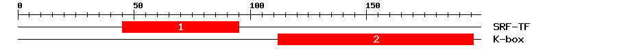 Signature Domain