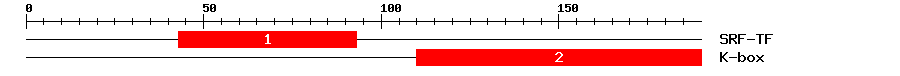 Signature Domain