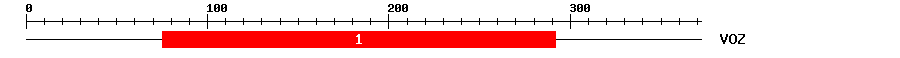 Signature Domain