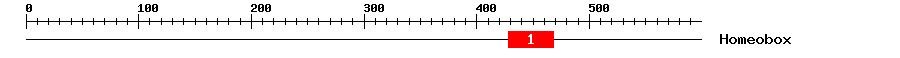 Signature Domain