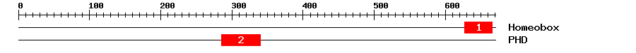 Signature Domain