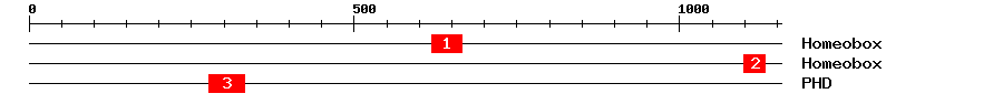 Signature Domain