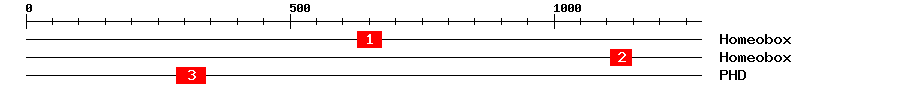 Signature Domain