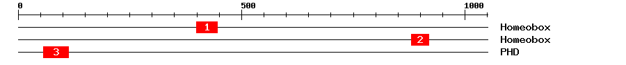 Signature Domain