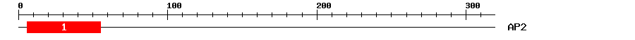 Signature Domain