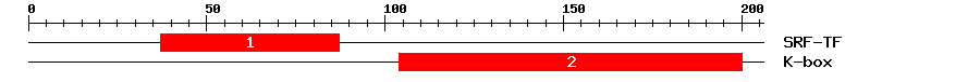 Signature Domain