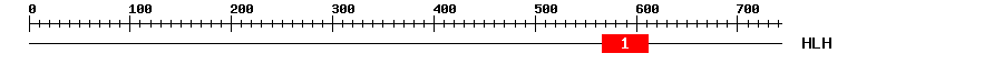 Signature Domain