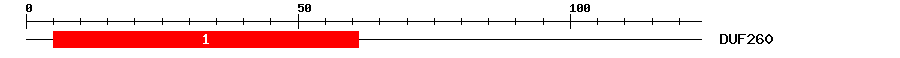 Signature Domain